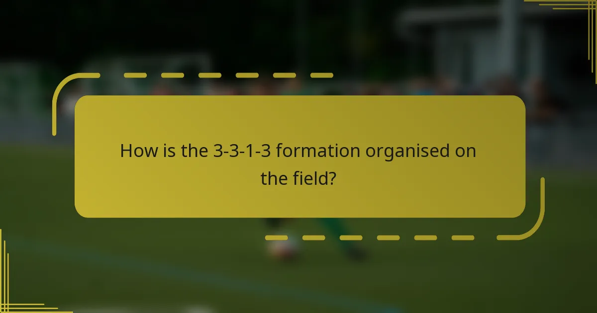 How is the 3-3-1-3 formation organised on the field?