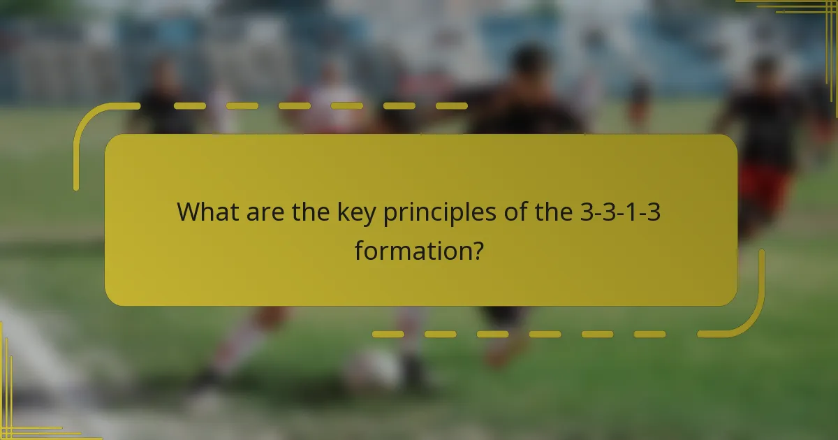 What are the key principles of the 3-3-1-3 formation?