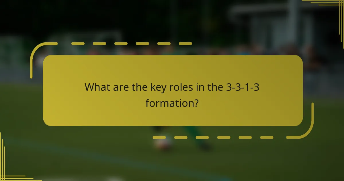 What are the key roles in the 3-3-1-3 formation?